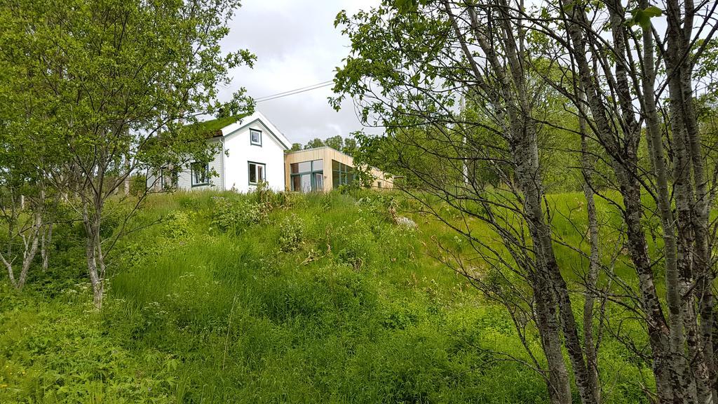 Gamtunet Lyngen Svensby Экстерьер фото