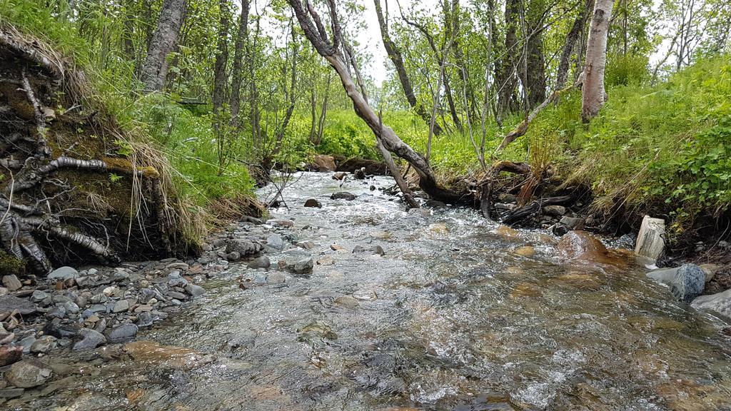 Gamtunet Lyngen Svensby Экстерьер фото